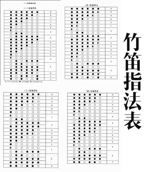 乐理知识入门教学视频免费,轻松掌握音乐基础知识的视频教程概览