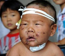 轮流插 吃奶视频,温馨亲子互动瞬间